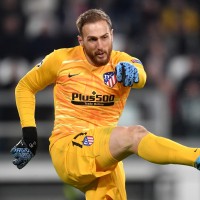 jan oblak