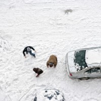 kepanje, sneg, avtomobil, otroci, zima,