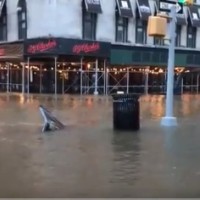 Manhattan, poplave