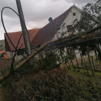 slovenska bistrica, podrto drevo, veter