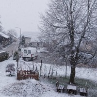 sneg, sneženje, krško, 26. 2. 2020