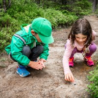 spoznavanje narave, učilnica v gozdu, otroci