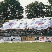 fazanerija celje