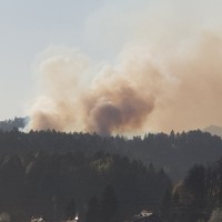 Požar na pobočju Šentviškega hriba