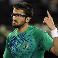 tipsarevic