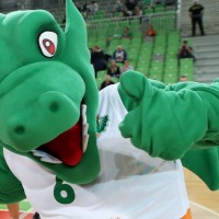 zmaj cedevita olimpija