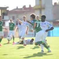 savic mm