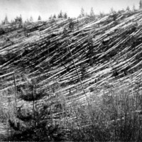 tunguska 2