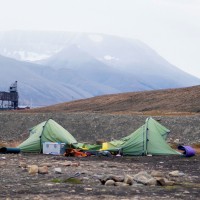 longyearbyen, polarni-medved, svalbard