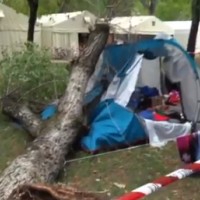 Marina di Massa, šotor, drevo, neurje