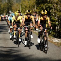 primoz roglic