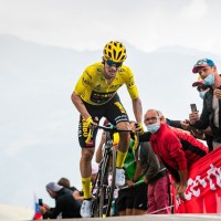 primoz roglic pm