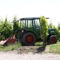 traktor, vinograd