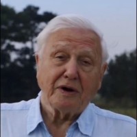 Sir David Attenborough