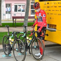 primoz roglic vuelta