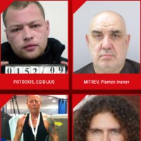 europol, posiljevalec, iskanje-zločincev