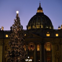 vatikan, božično drevo