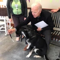 Joe Biden in Major