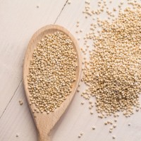 sezamova semena
