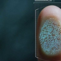 universal-biometric-identity