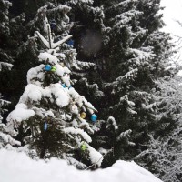 sneg, ljubelj, novoletno-drevo