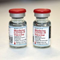 cepivo, moderna, covid-19