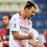 ibrahimovic profi