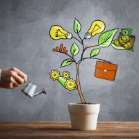 investicija, naložbe, drevo, denar