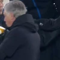 ancelotti kava