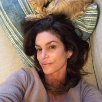 Cindy Crawford 2