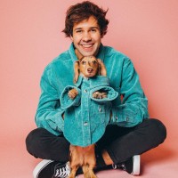 David Dobrik