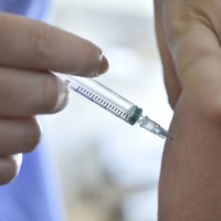cepljenje bobo
