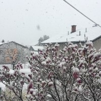 sneg, sneženje, april, ljubljana