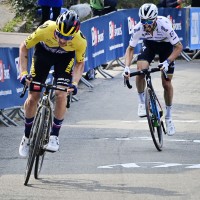 roglic alaphilippe