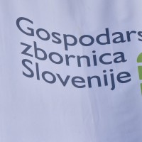 Gospodarska zbornica Slovenije, gzs
