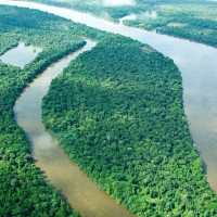 amazonski pragozd