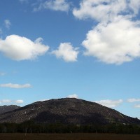 black-mountain, queensland, avstralija