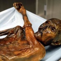 Ötzi Wikipedia