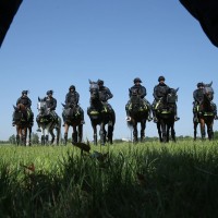 konjeniska enota policije policija konji pl2