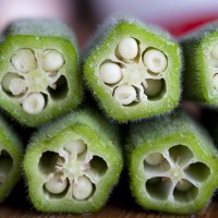 okra, sredica okre