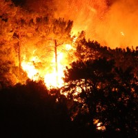 ogenj, požar, gozdni požar, turčija, Marmaris