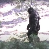 Big Foot Youtube