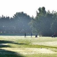 golf