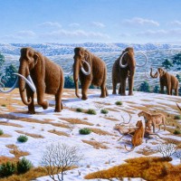 Ice_age_fauna_of_northern_Spain_-_Mauricio_Antón Wikipedia