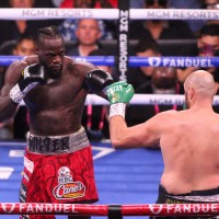 wilder fury pm