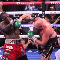 fury wilder