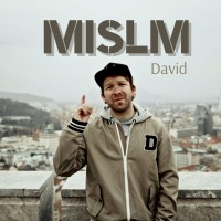 MISLM David