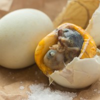 balut, jajce, račje-jajce