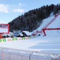 zlata lisica kranjska gora