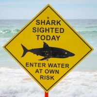 morski pes, znak, plaža, avstralija